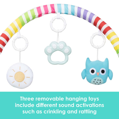 Smart Steps Musical STEM Gym